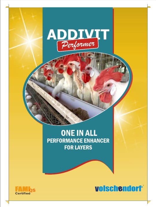 Grainase P5000 pack front view