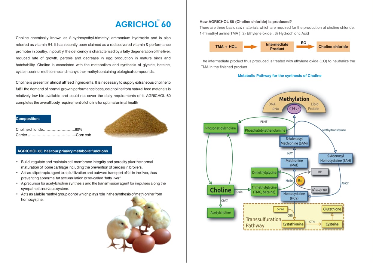 Shellbio-D<sub>3</sub> pack front view