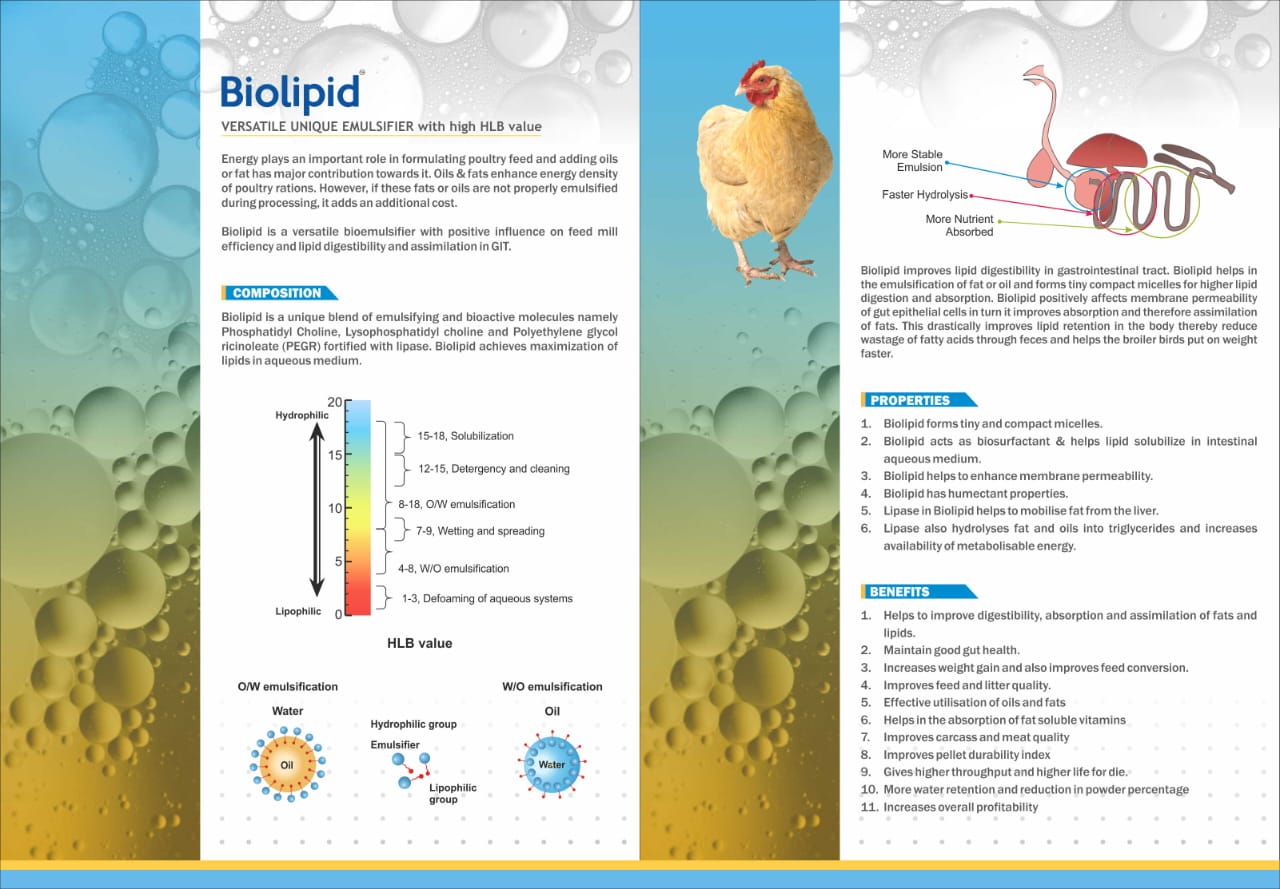 Grainase P detail view