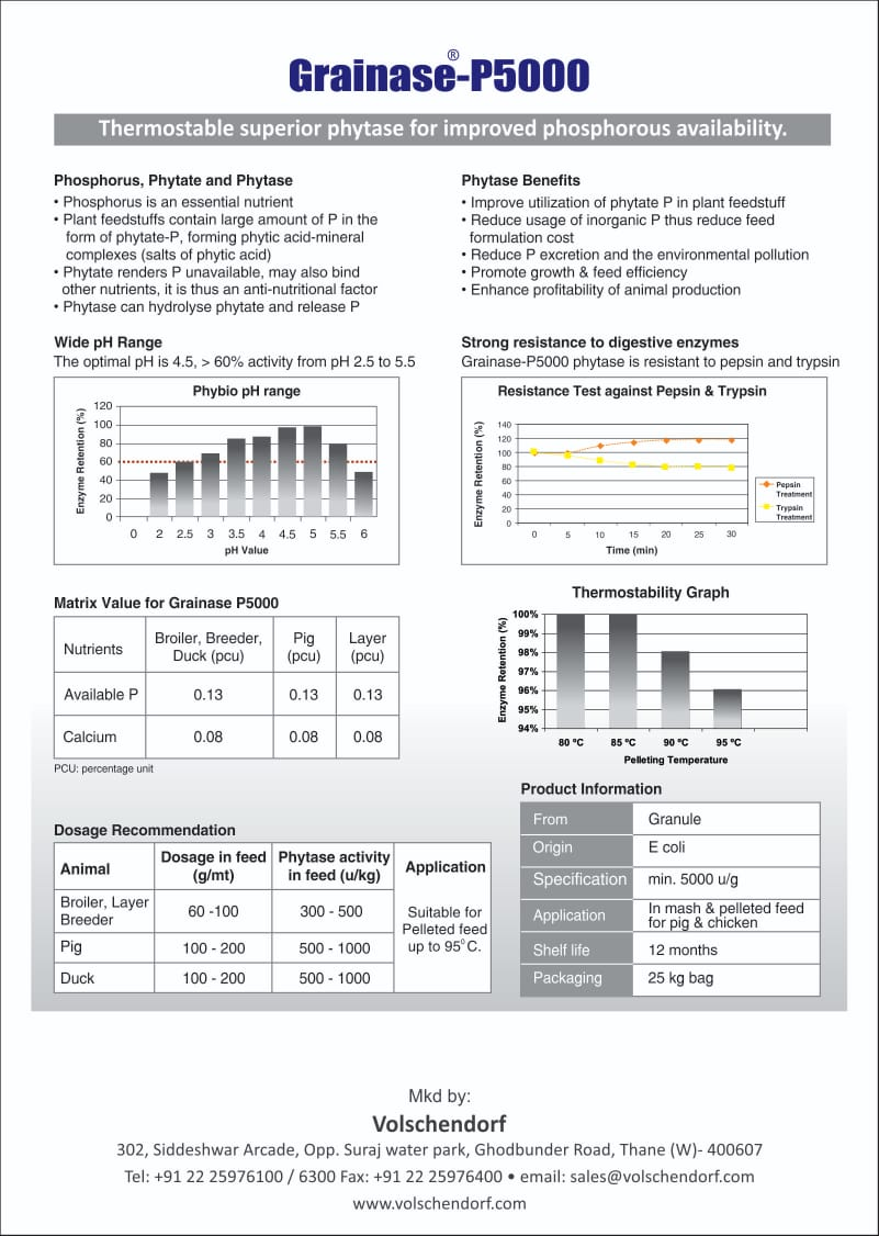 Grainase P5000 detail view