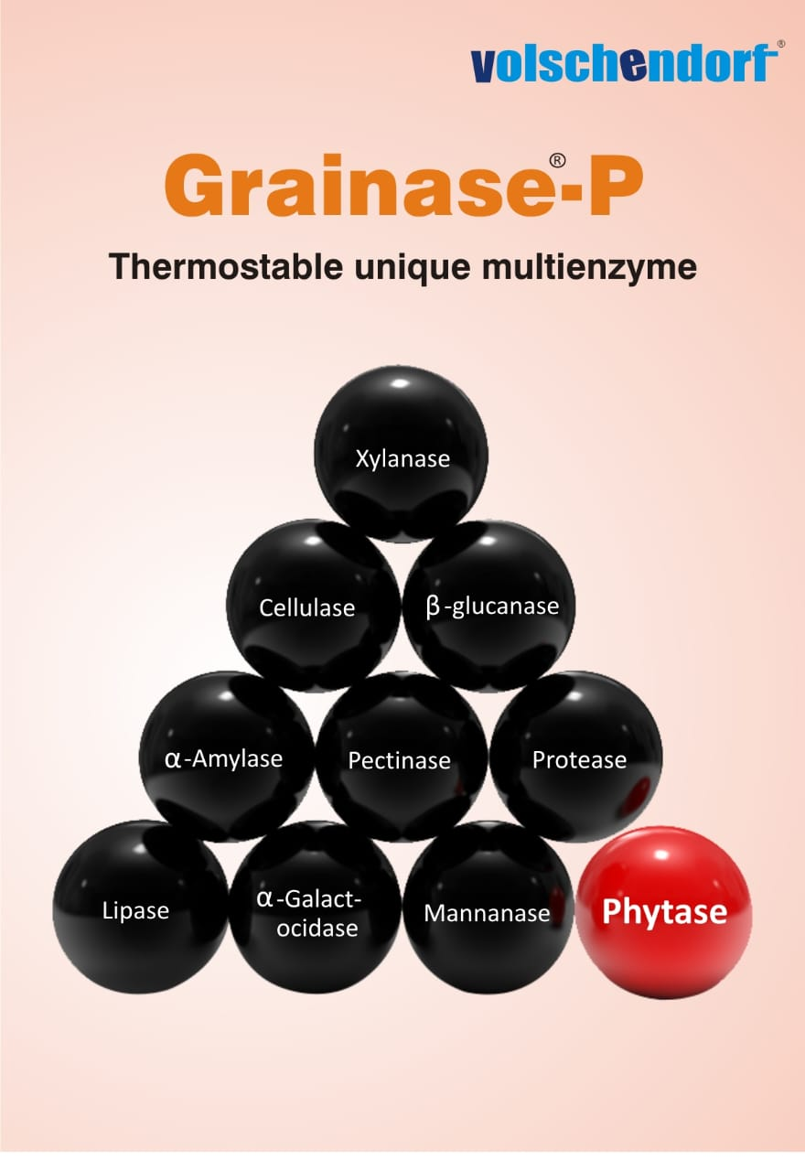 Grainase P pack front view