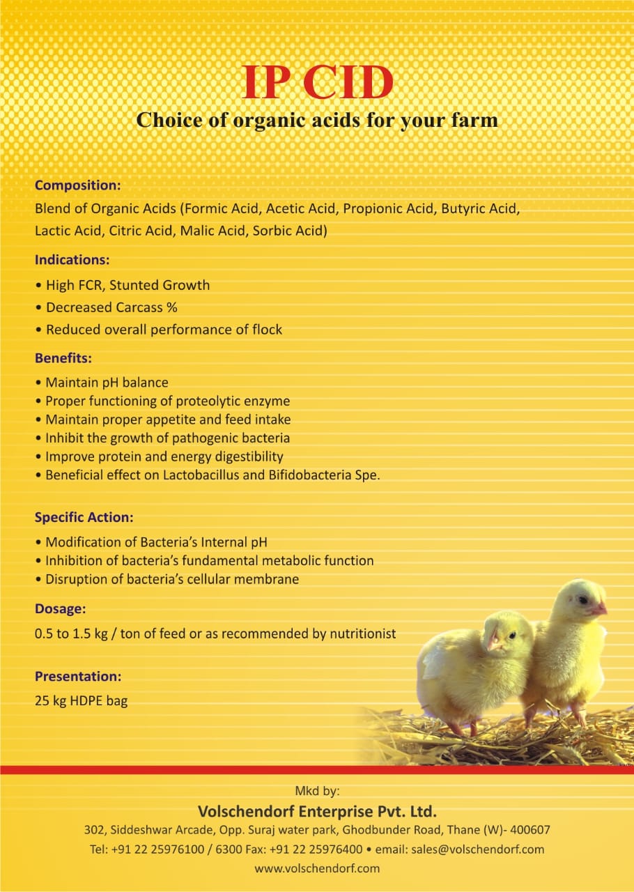 Grainase P detail view