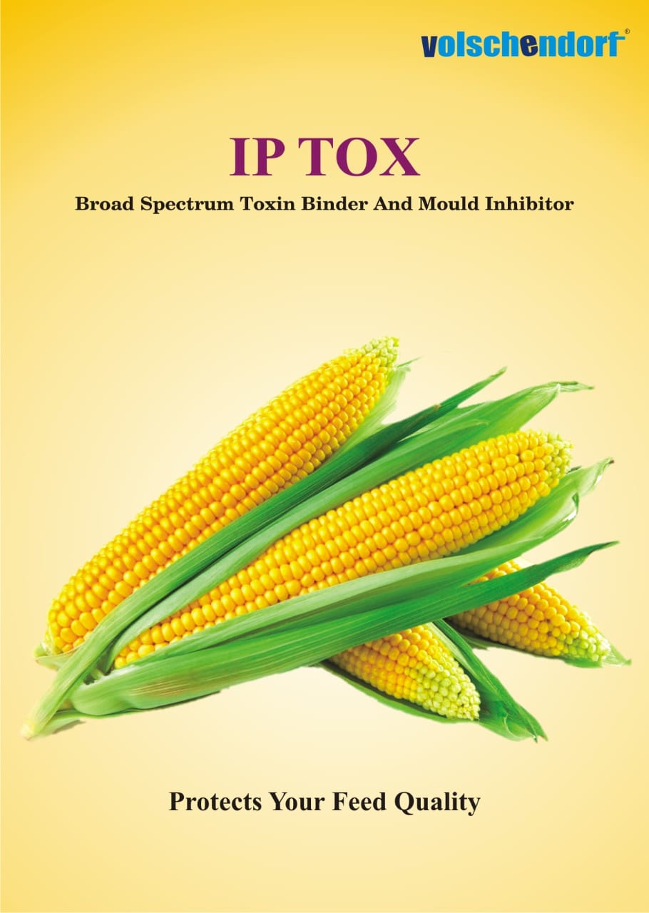 Shellbio-D<sub>3</sub> pack front view