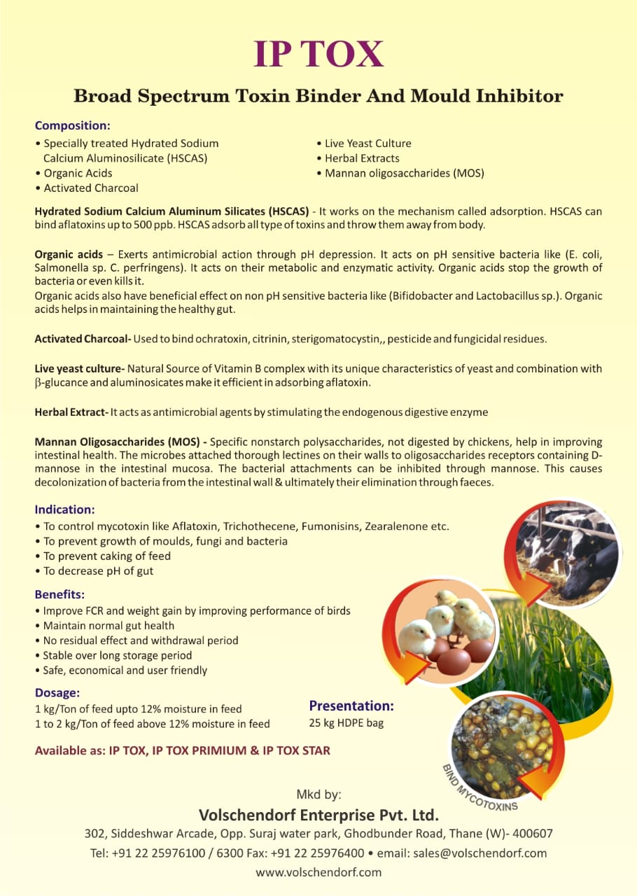 Grainase P detail view