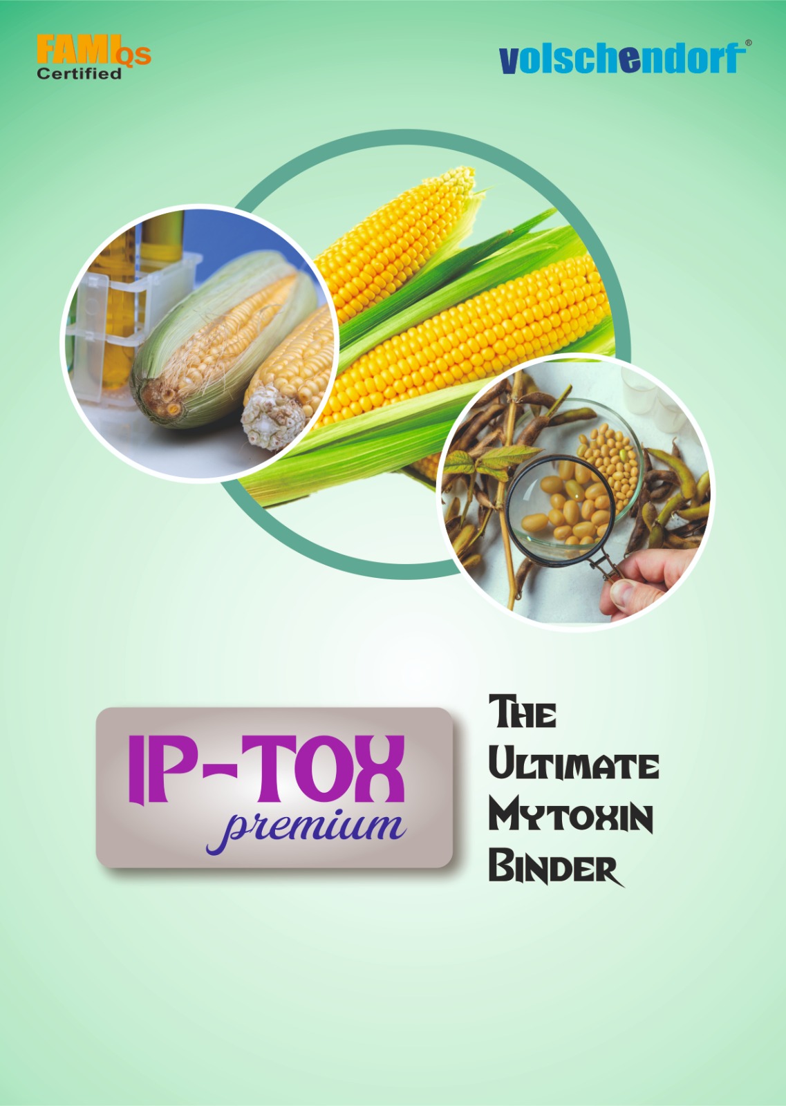 Grainase P5000 pack front view