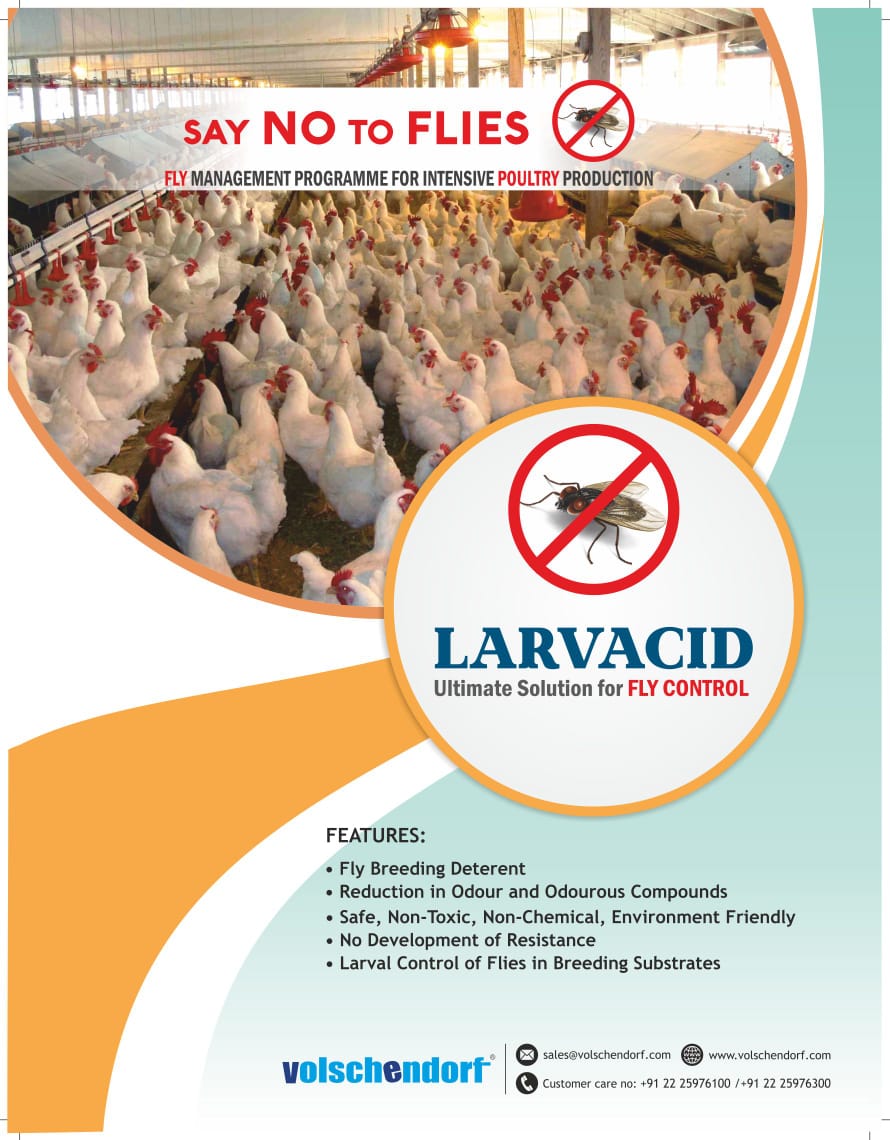 Grainase P pack front view