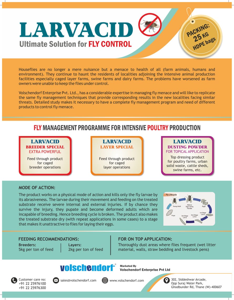 Grainase P detail view