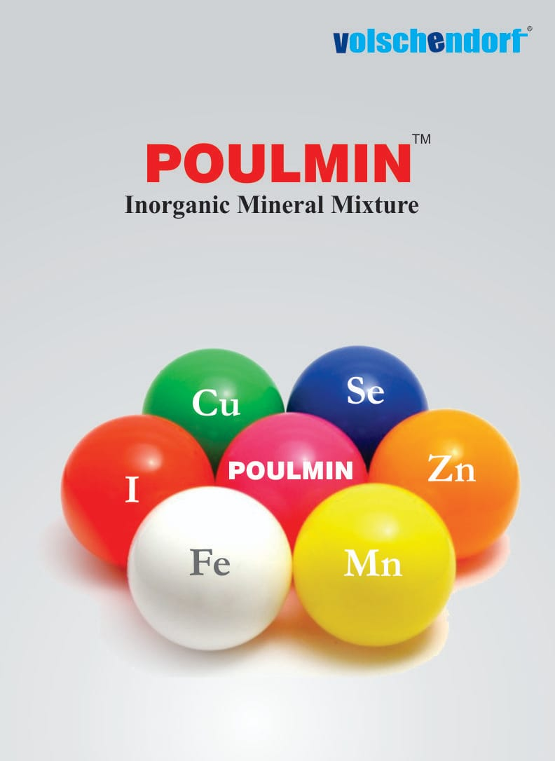 Shellbio-D<sub>3</sub> pack front view