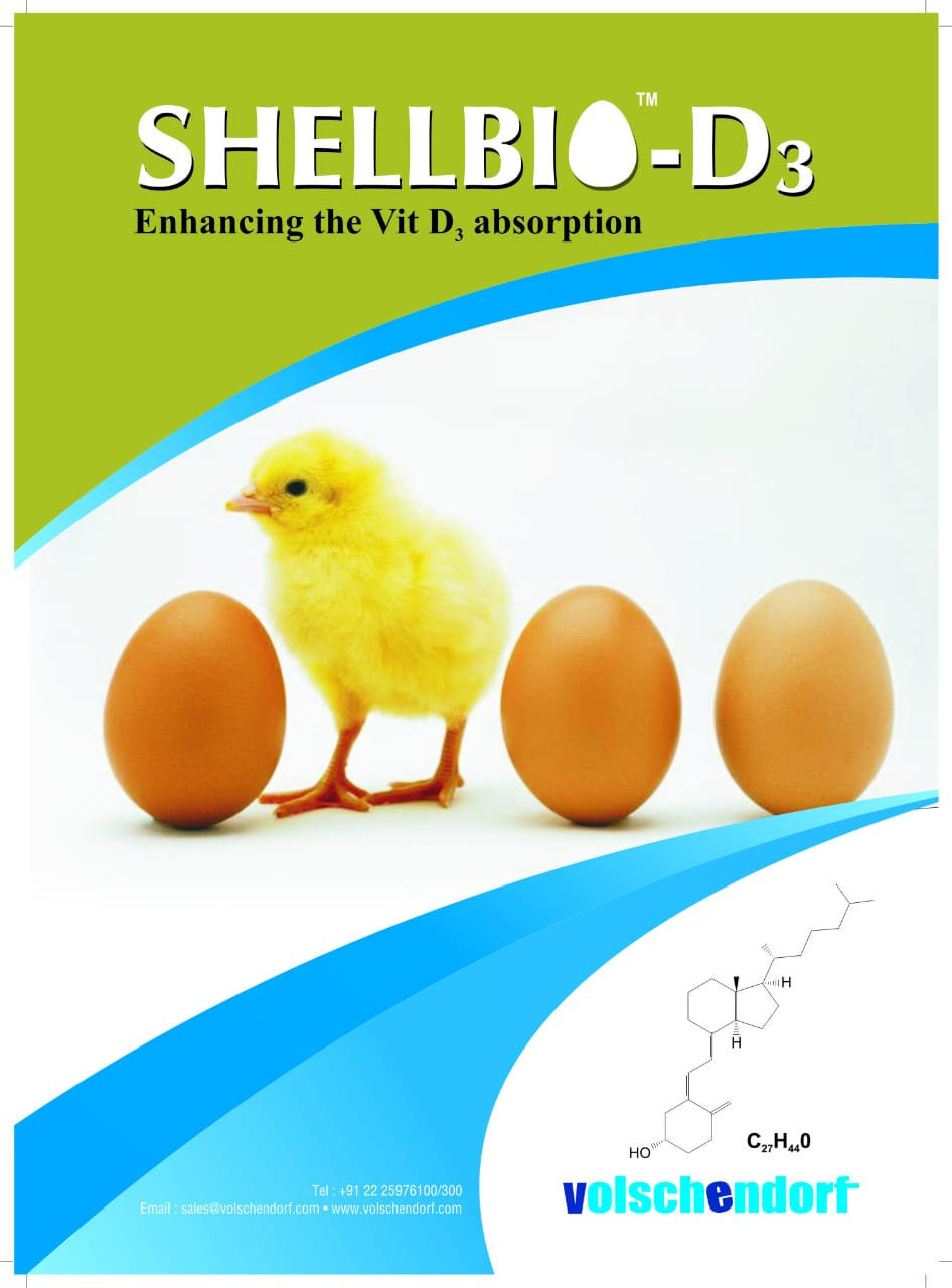 Shellbio-D<sub>3</sub> pack front view